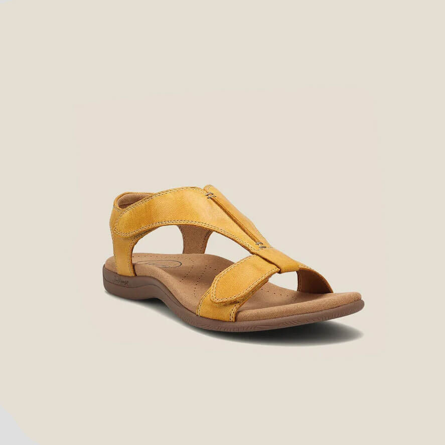 Yellow / 10.5-11